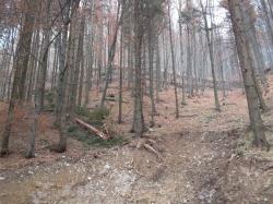 p7qs1eabmra5w3934wvm.jpg