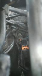 pkixz8f0vdwk082lb3fo.jpg