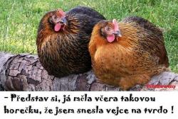 pstvsj6ayuz0pu9oqweu.jpg