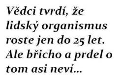 Obrázok