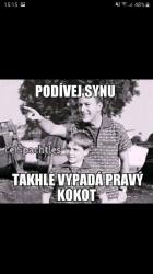 pwizi0xnmdd2uh6jx66z.jpg