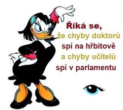 px97ixqgcx3bvhrz0xvr.jpg