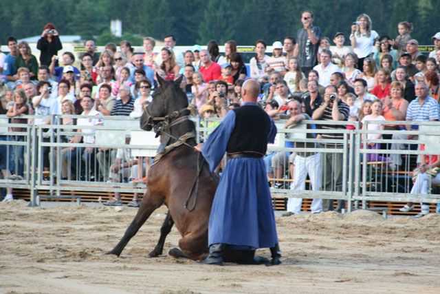 Obrázok