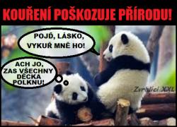 Obrázok