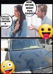 qu2mpzne8zvolzvb39xm.jpeg