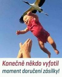 Obrázok