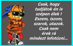 r2ciknhu8240rrvbqrly.png