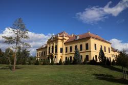 Obrázok