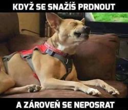 sb0w7z912vwt70xlx5kh.jpg