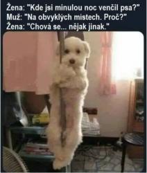 Obrázok