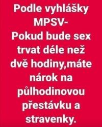skhfoxvsb47635vsrfc8.jpg