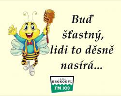 sp0968ezby7tuzylfqz2.png