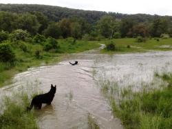 Obrázok