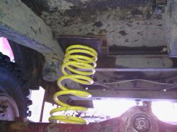 t9o2x6ieaif6421m2zzw.jpg