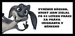 tny6zg7g33uusqc7ebby.jpg