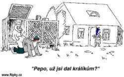 Obrázok