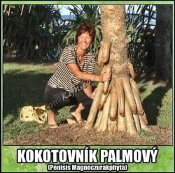u3jwqumddmo256co3vqu.jpg