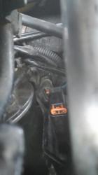 udfr1upzrh6t1u3rdas9.jpg