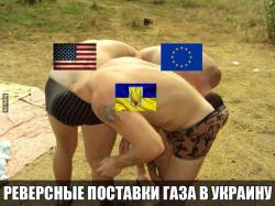 ui0aou0l7krw8knf6dil.jpg