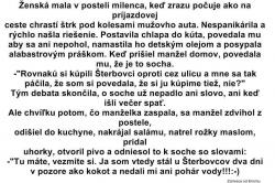 Obrázok