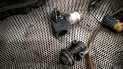 v8ba37l1yovft9oly9sn.jpg