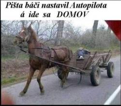 ve7gnfdtywte5vppk0k0.jpg