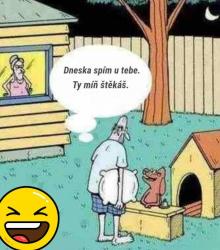 vixagpoa3vatvdyw8186.jpg