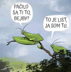 wawv9bupo0heu3pox44b.jpg