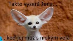wcfpexsdbsja2p26op5d.jpg
