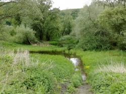 Obrázok