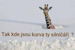 Obrázok