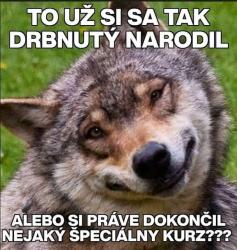 Obrázok