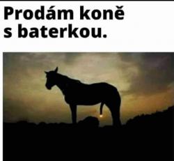 y9ot1wqs98xd9cidjvoh.jpg