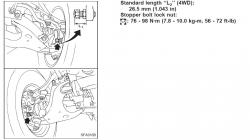 yen6qc9qq1h2x6zn3pjw.jpg