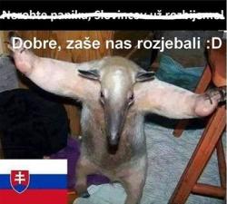 Obrázok