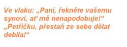 Obrázok