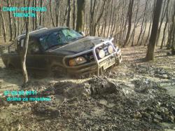 yx48r5vvyjuwdvdvlly1.jpg