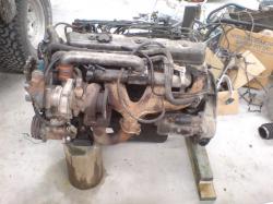 yzson0wfzhdnwqa809kv.jpg