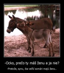 Obrázok