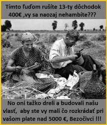 zpszmn266zn1r0813eb9.jpg