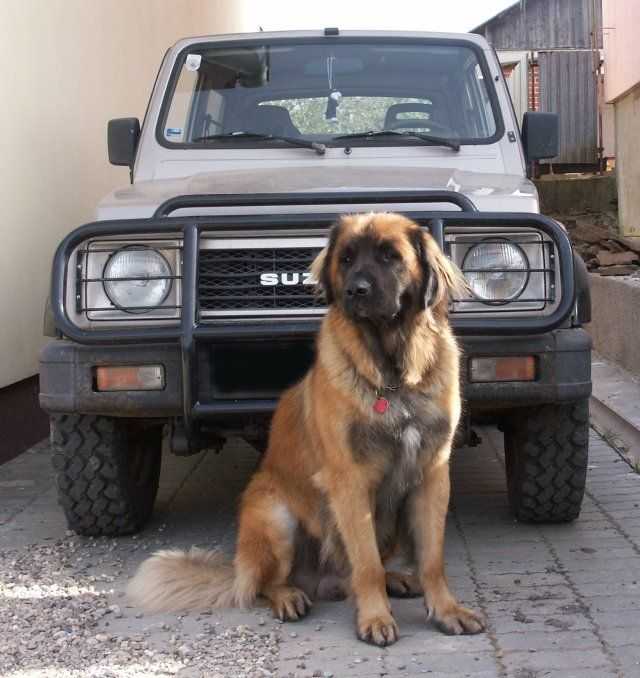 Obrázok