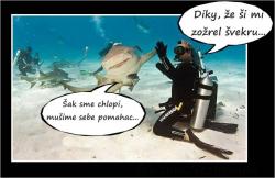zu87i5wdibkn3z0mld76.jpg